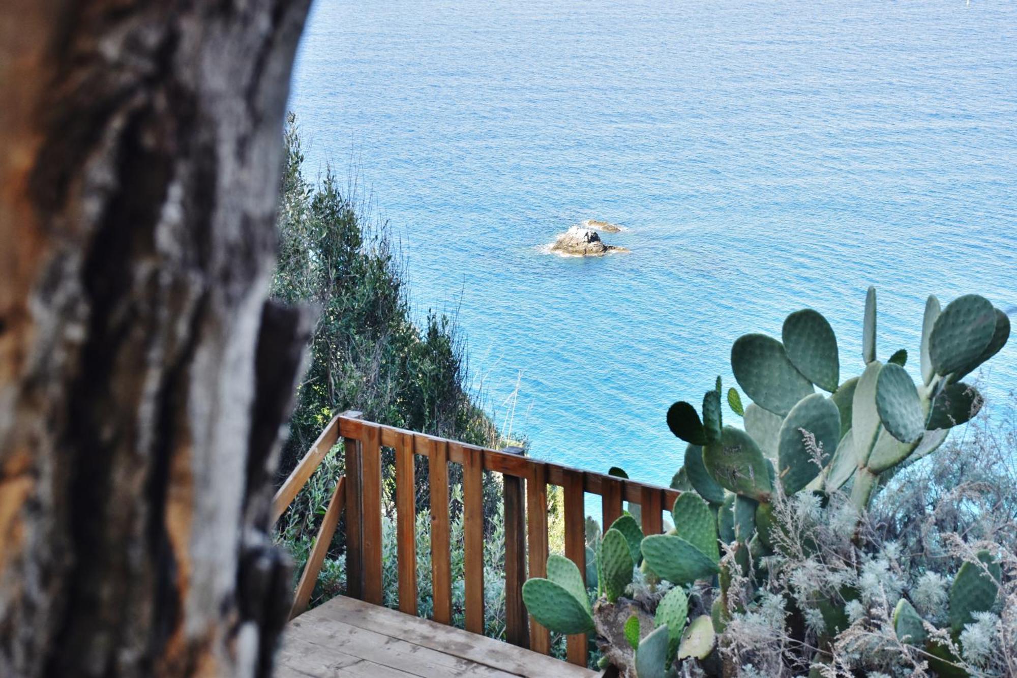 Calabria Beach Villa'S Capo Vaticano Eksteriør bilde